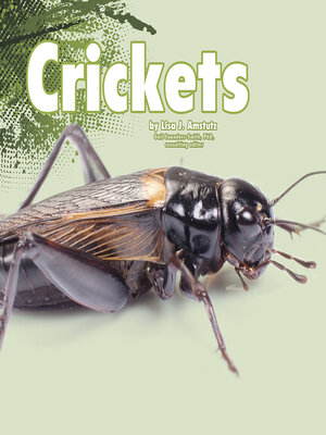 cover image of Crickets